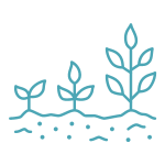 Plant growth icon